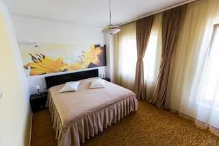 Отель Grandis Apulum Mioveni Двухместный номер с 1 кроватью или 2 отдельными кроватями-5